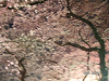 s_PICT0010_thumb.png